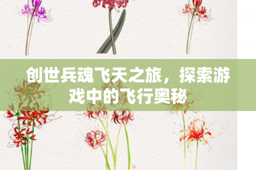 创世兵魂飞天之旅，探索游戏中的飞行奥秘