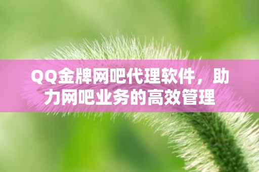 QQ金牌网吧代理软件，助力网吧业务的高效管理
