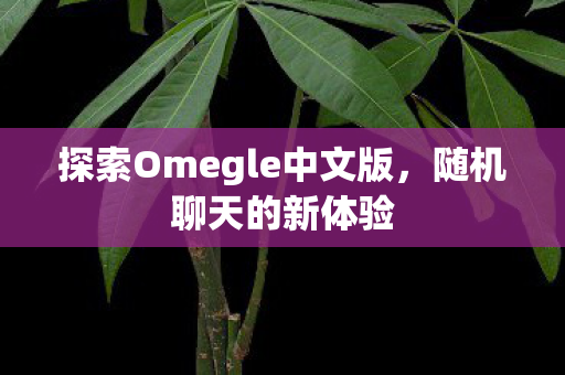 探索Omegle中文版，随机聊天的新体验