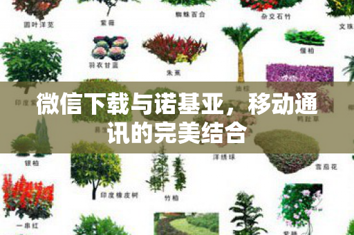 微信下载与诺基亚，移动通讯的完美结合