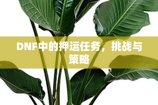 DNF中的押运任务，挑战与策略