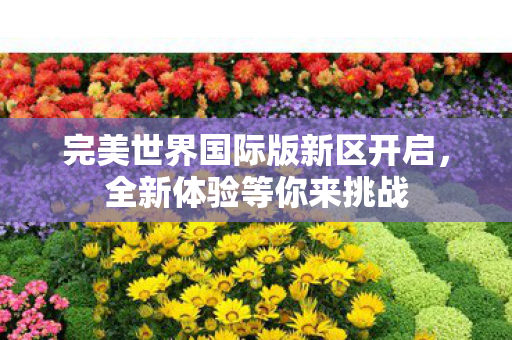 完美世界国际版新区开启，全新体验等你来挑战