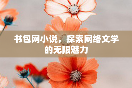 书包网小说，探索网络文学的无限魅力