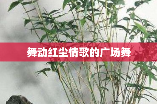 舞动红尘情歌的广场舞