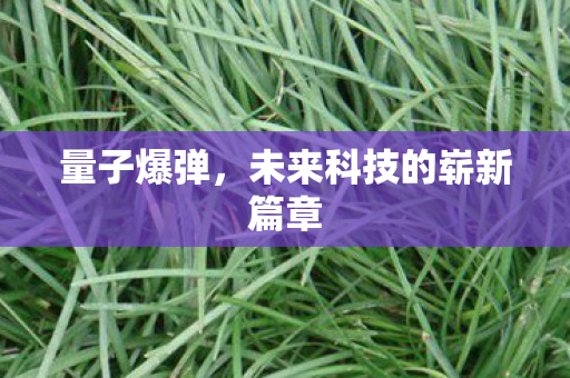 量子爆弹，未来科技的崭新篇章