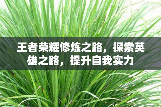 王者荣耀修炼之路，探索英雄之路，提升自我实力