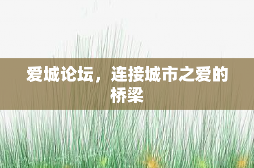 爱城论坛,连接城市之爱的桥梁 爱城论坛,连接城市之爱的桥梁