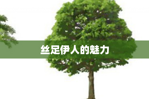 丝足伊人的魅力