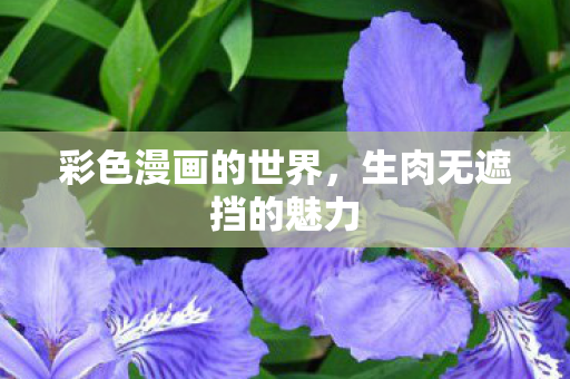 彩色漫画的世界，生肉无遮挡的魅力