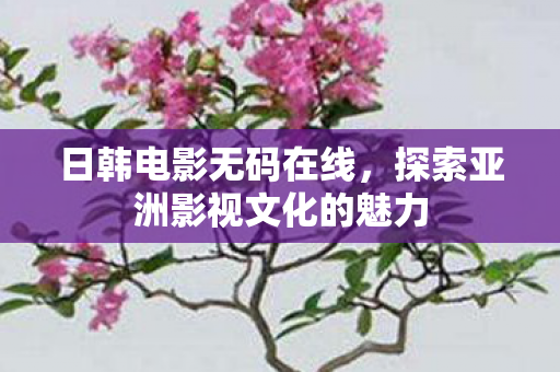 日韩电影无码在线，探索亚洲影视文化的魅力