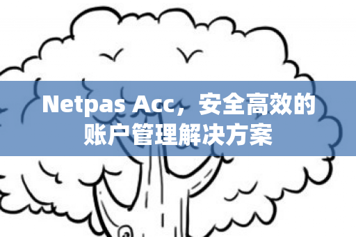 Netpas Acc,安全高效的账户管理解决方案 Netpas Acc,安全高效的账户管理解决方案