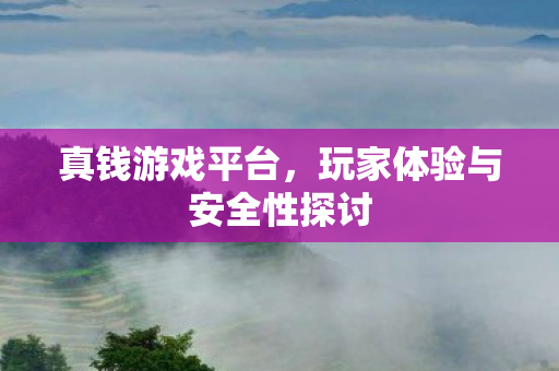 真钱游戏平台，玩家体验与安全性探讨