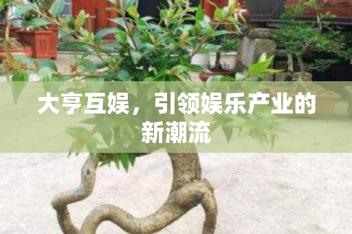 大亨互娱，引领娱乐产业的新潮流