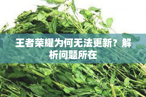 王者荣耀为何无法更新？解析问题所在