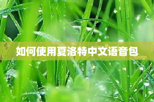 如何使用夏洛特中文语音包