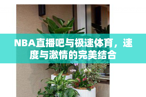 NBA直播吧与极速体育，速度与激情的完美结合
