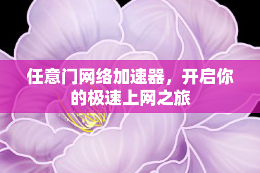 任意门网络加速器，开启你的极速上网之旅