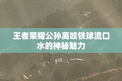 王者荣耀公孙离咬铁球流口水的神秘魅力