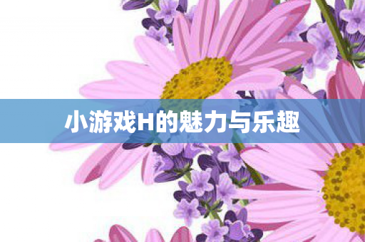 小游戏H的魅力与乐趣