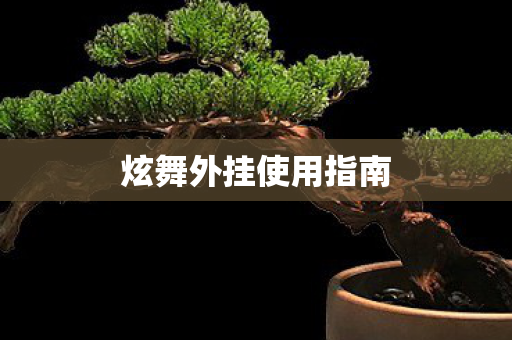 炫舞外挂使用指南