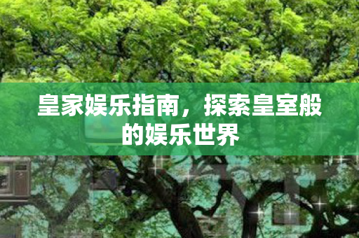 皇家娱乐指南，探索皇室般的娱乐世界