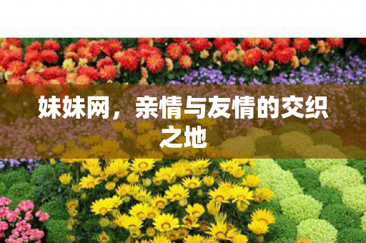 妹妹网，亲情与友情的交织之地