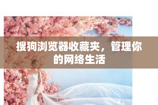 搜狗浏览器收藏夹，管理你的网络生活