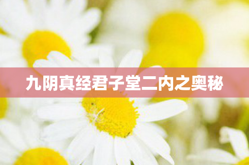 九阴真经君子堂二内之奥秘