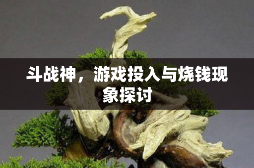 斗战神，游戏投入与烧钱现象探讨