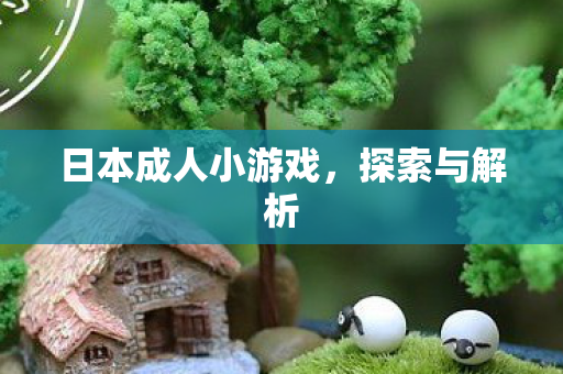 日本成人小游戏，探索与解析
