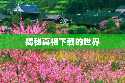 揭秘真相下载的世界