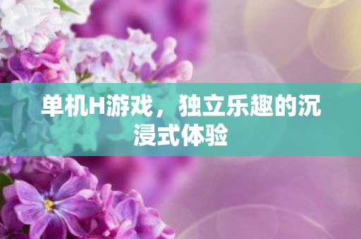 单机H游戏，独立乐趣的沉浸式体验