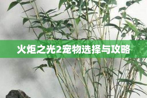 火炬之光2宠物选择与攻略