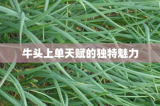 牛头上单天赋的独特魅力