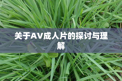 关于AV成人片的探讨与理解