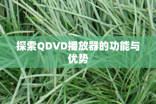 探索QDVD播放器的功能与优势