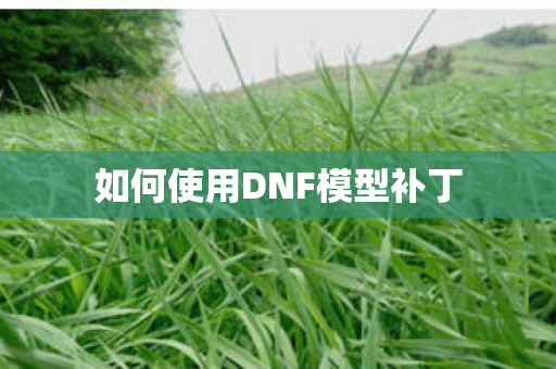 如何使用DNF模型补丁