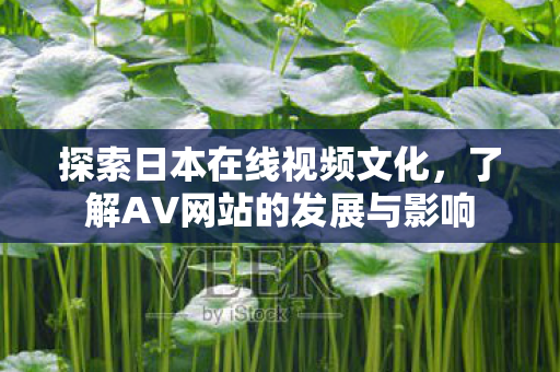 探索日本在线视频文化，了解AV网站的发展与影响