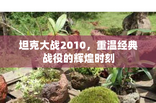 坦克大战2010,重温经典战役的辉煌时刻 坦克大战2010,重温经典战役的辉煌时刻