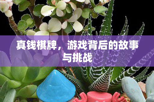 真钱棋牌，游戏背后的故事与挑战