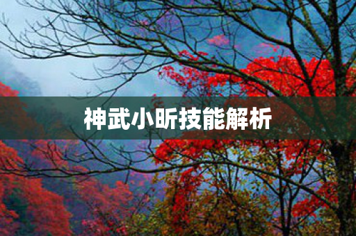 神武小昕技能解析