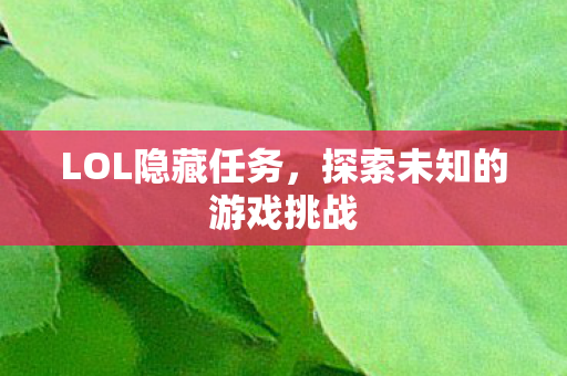 LOL隐藏任务，探索未知的游戏挑战