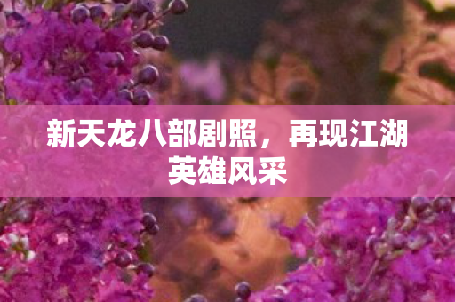 新天龙八部剧照，再现江湖英雄风采