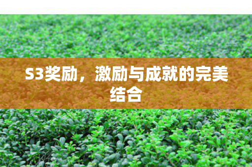 S3奖励，激励与成就的完美结合