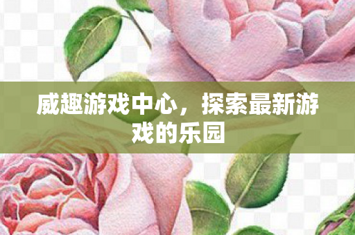 威趣游戏中心，探索最新游戏的乐园