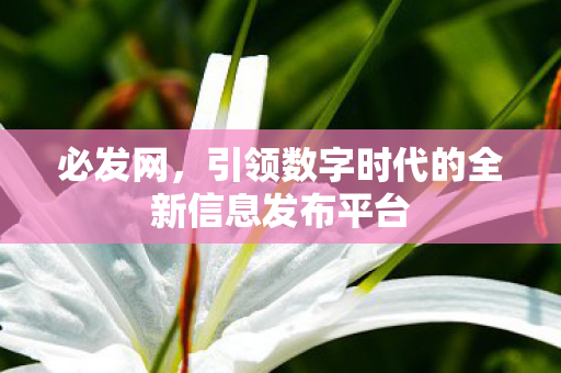 必发网，引领数字时代的全新信息发布平台