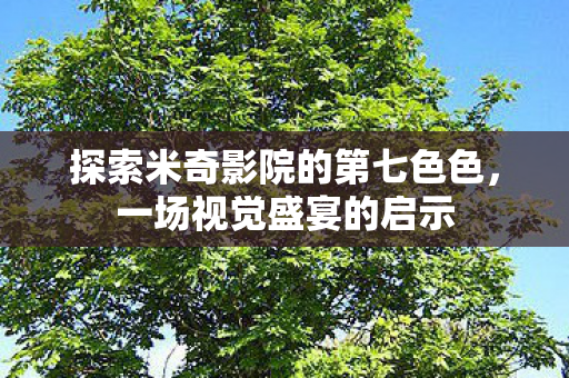 探索米奇影院的第七色色，一场视觉盛宴的启示