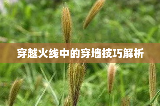 穿越火线中的穿墙技巧解析