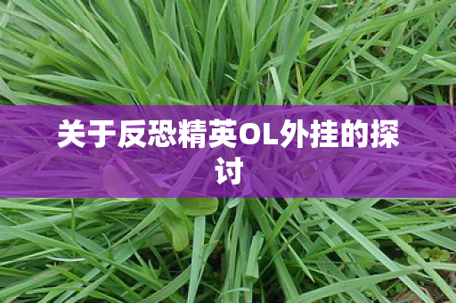 关于反恐精英OL外挂的探讨