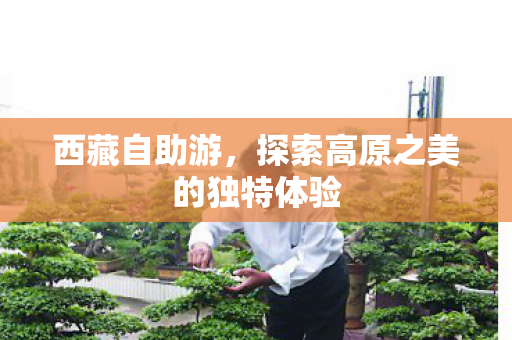西藏自助游,探索高原之美的独特体验